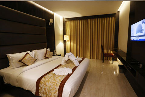 Luxury Rooms